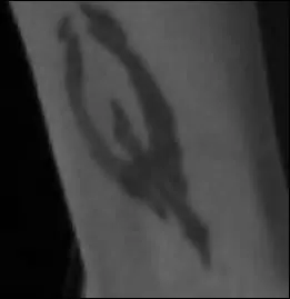 Ce dessin est un tatouage, il se trouve sur le bras de Bianca, la fiance de Chris. Il reprsente un phnix, ce phnix est...