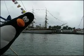 Mais au fait ! O avez-vous le plus de chance de croiser une colonie de pingouins ?