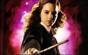 Harry Potter tome 6 : De qui Hermione est-elle secrtement amoureuse