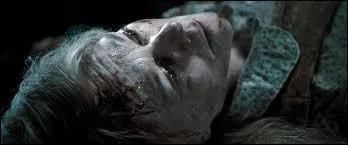 Harry Potter tome 7 1re partie : Quel(le) professeur de Poudlard  t tu(e) tous au dbut du film ? .
