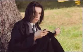 Harry Potter et Le Prince de Sang-Ml : Qui est le Prince de Sang-Ml ?