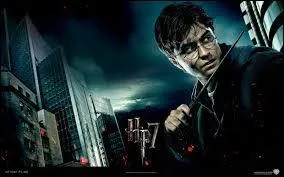 Harry Potter et Les Reliques de la Mort partie 2 : Avec qui Harry a-t-il eu des enfants ?
