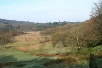 Cette tourbire situe sur la commune de Saint-Lger-la-Montagne prs de Limoges a pour nom :