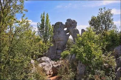 Dans quel dpartement de notre beau pays allez-vous dcouvrir le magnifique bois de Paolive ?