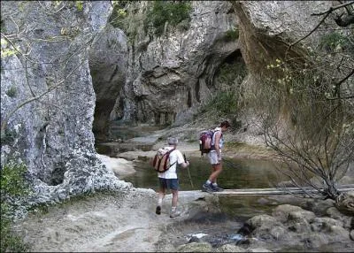 Quel cours d'eau  sec l't a creus dans le dpartement de l'Hrault le spectaculaire dfil connu sous le nom des Concluses ?