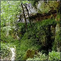 Dans quel dpartement pouvez-vous voir la Fosse de l'Ermitage, gouffre de 40 mtres de profondeur envahi d'une vgtation luxuriante rappelant les paysages de la fort amazonienne ?