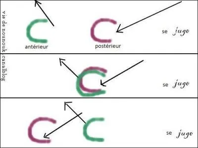 Ce cheval se "méjuge". Cela signifie que, au pas, l'empreinte du postérieur se trouve 