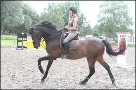 Serrer les jambes est-il recommandé et efficace pour donner de l'impulsion à son cheval ?