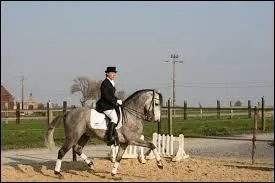 Qu'appelle-t-on "trot d'école" ?