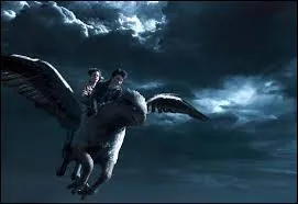 Comment s'appelle l'hippogriffe qui a manqu se faire tuer dans le tome 3 ?