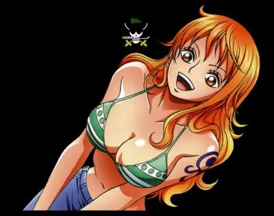 Quel est le surnom de Nami ?