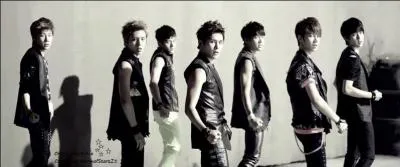 De quel titre vient cette image ?