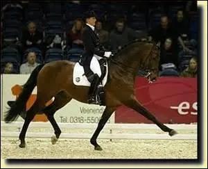 Quelles sont les figures de mange permettant de changer de main ?