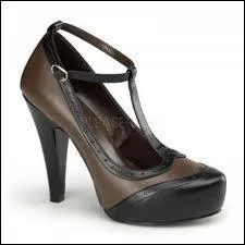 En quel sicle les  Salom  sont-elles apparues en Europe et en Amrique ?