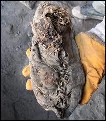 O a t dcouverte la plus vielle chaussure ?