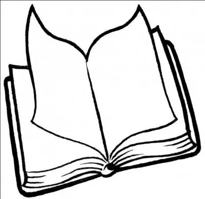 Quel est le livre prfr des garons ?