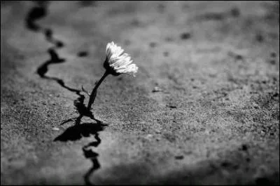 Quand il tait petit, il aimait quel pays ?