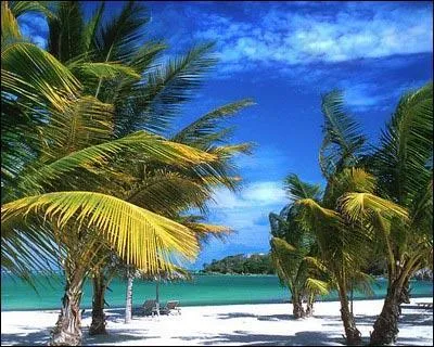 Les les Grenadine font partie de l'Archipel des Maldives :