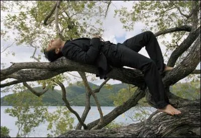 Combien d'albums a sorti Christophe Ma depuis le dbut de sa carrire ?