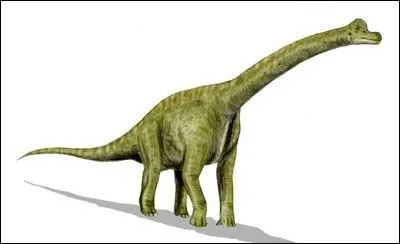 Ces trois grands dinosaures taient :