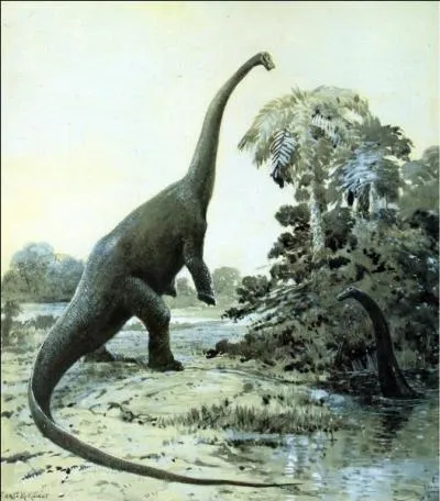 Que mangeaient-ils ?