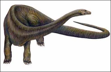 Quel tait le moyen de dfense du diplodocus ?