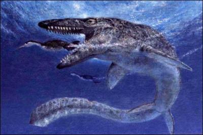 Les mosasaures étaient-ils des dinosaures marins ?