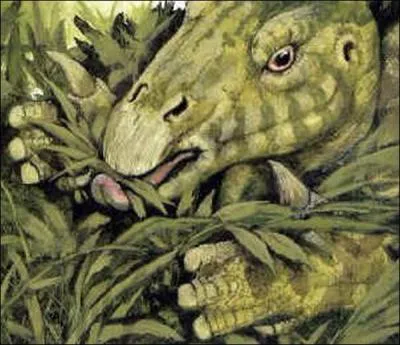 Les dinosaures taient-ils tous carnivores ?