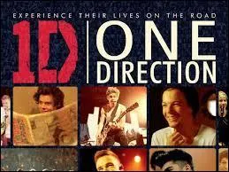 Comment se nomme le film des One Direction ?