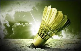 Quel sport pratique Miss France 2014 ?