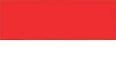  quel pays appartient ce drapeau ?