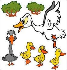 Question de culture gnrale : Qu'a invent Louis Braille ?