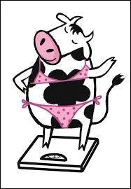 Quiz concernant  Friends  :   Rachela fait un dsert avec ... .....  