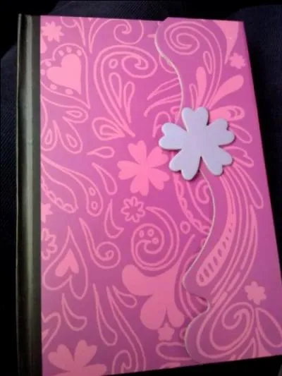 De quelle couleur est la fleur sur le carnet secret de Violetta ?