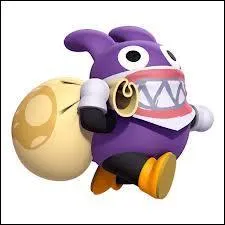 C'est un petit lapin apparu pour la premire fois dans New Super Mario Bros. U. C'est un voleur, qui prend des objets qui appartiennent aux Toads. Comment s'appelle-t-il ?