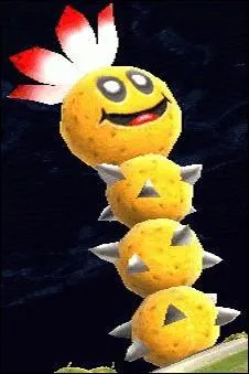 Attention ! Ils sortent du sable. Mais comment s'appellent-ils ?