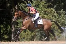 Petit plus que doit avoir absolument le cavalier :