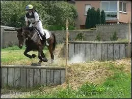 Quel est cet obstacle ?