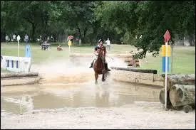 Quelle quantit d'eau doit-on mettre dans un gu ?