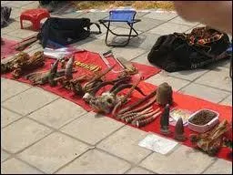 En Chine les tigres sont tus pour la mdecine.