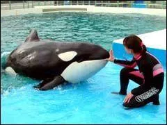 Qu'ont de particulier ces espces ?