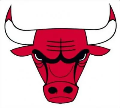 Quelle quipe de sport amricaine se cache derrire ce logo ?