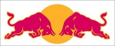 Quelle boisson nergisante se cache derrire ce logo ?