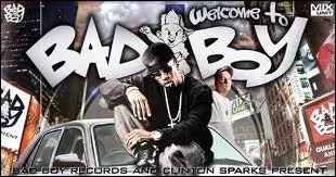 Compltez :  j'me j'me comporte comme un ...  