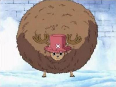 One Piece: Chopper's Transformations Quiz - By BorezU