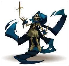 Quelles sont les particularits des Sram ?