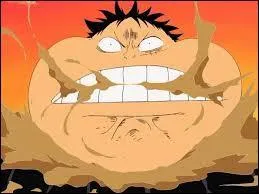 Comment appelle-t-on cette technique ?