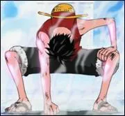 Quel est le nom de celle-ci ?