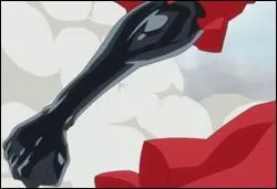 Quel est le nom de celle-ci ?