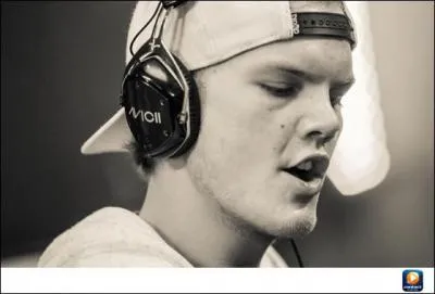 Quel DJ est l'auteur du tube  Wake Me Up , port par la voix d'Aloe Blacc ?